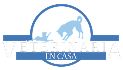 veterinaria-en-casa